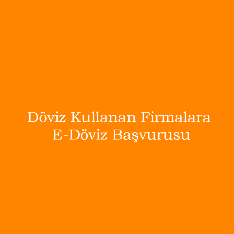 Döviz Kullanan Firmalara E-Döviz Başvurusu Ücreti